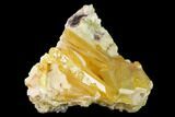 Orange Wulfenite and Botryoidal Mimetite - La Morita Mine, Mexico #170313-1